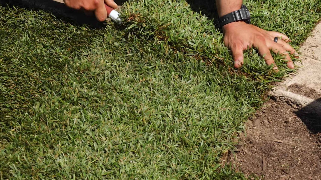 Professional sod installation and lawn renovation in Compton, CA